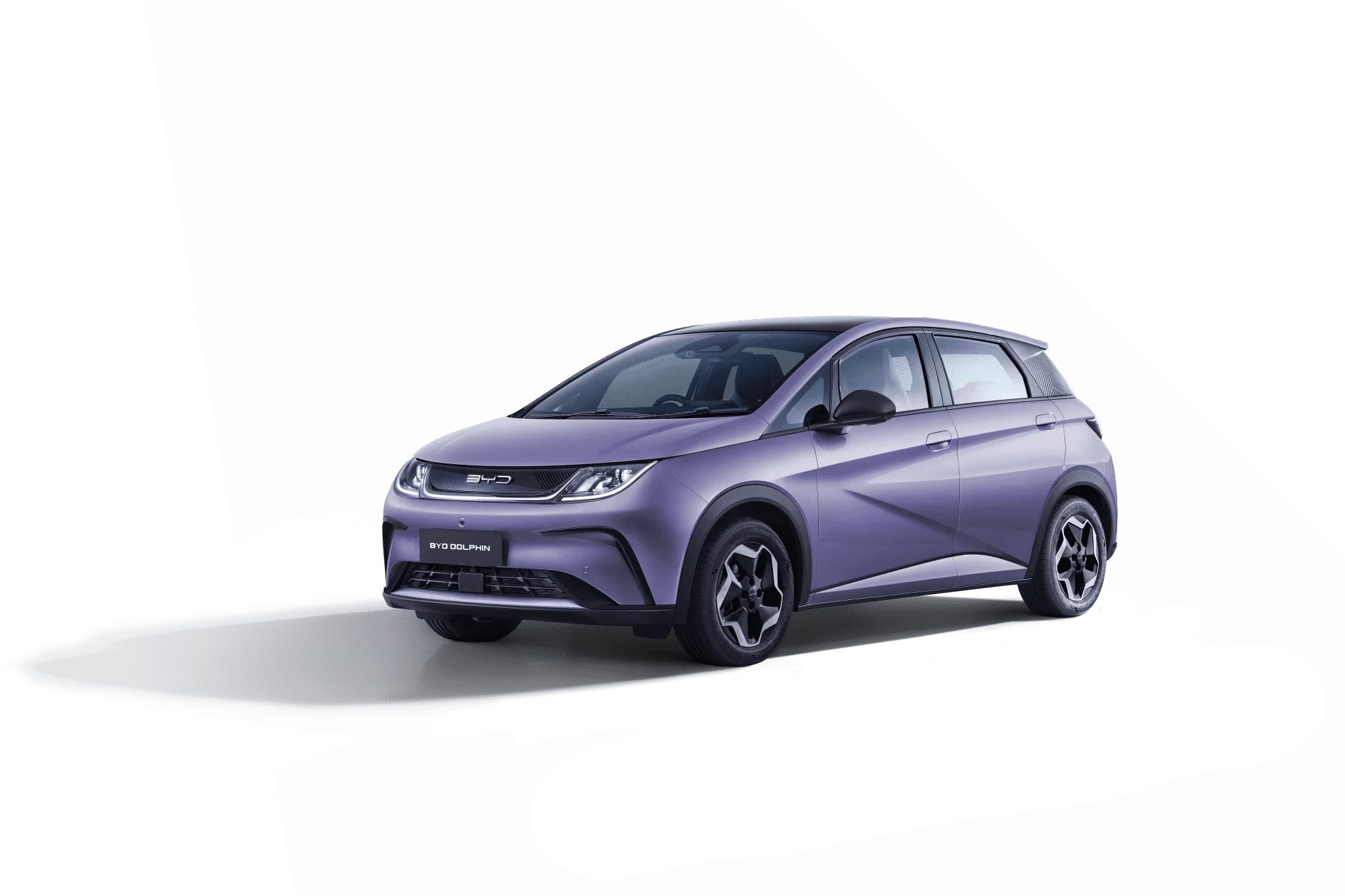 BYD DOLPHIN - MALDEVIS PURPLE